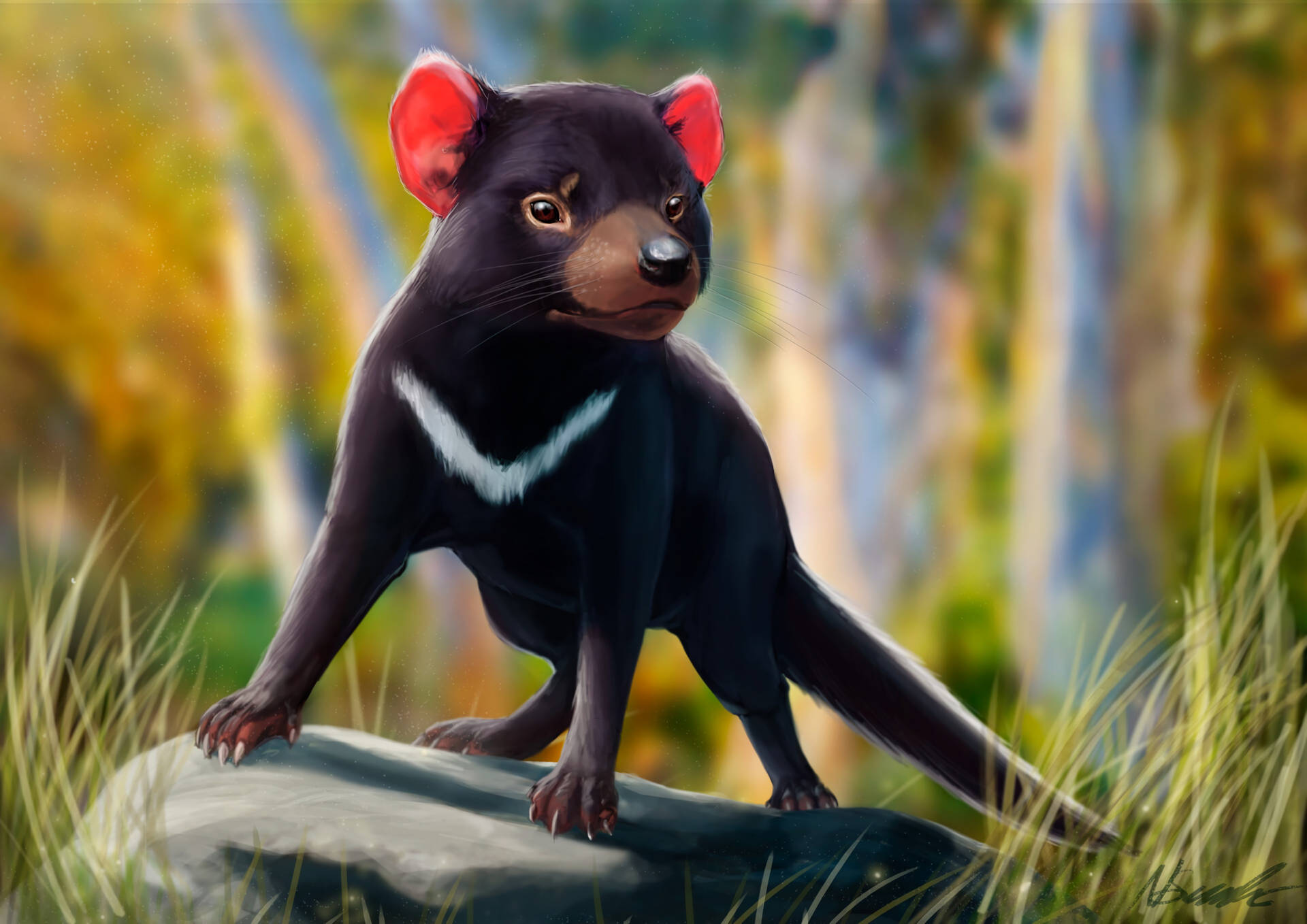 Tasmanian Devil, Beast, Animal, Art, Wildlife