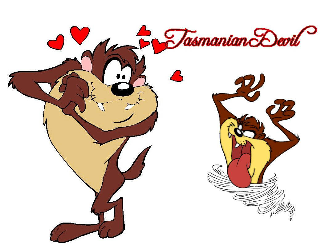 Tasmanian Devil Taz Disney