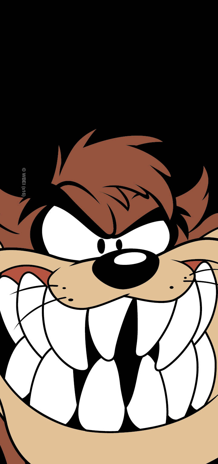 Tasmanian Devil Taz Looney Tunes