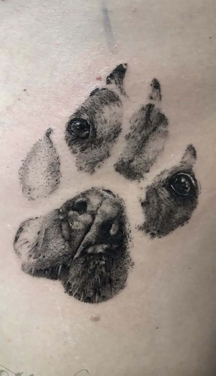 Tattoos Pawprint With Faded Effect Pictures
