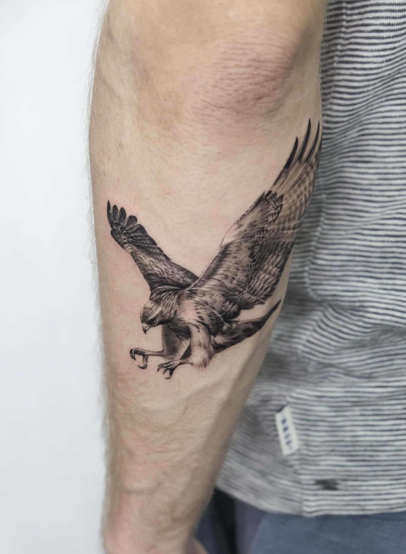 Tattoos Falcon Flying On Forearm Pictures