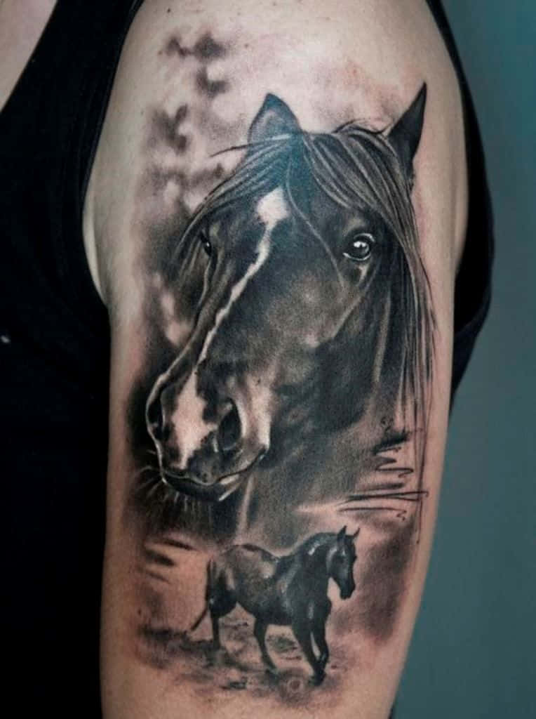 Tattoos Horse Design On Arm Pictures
