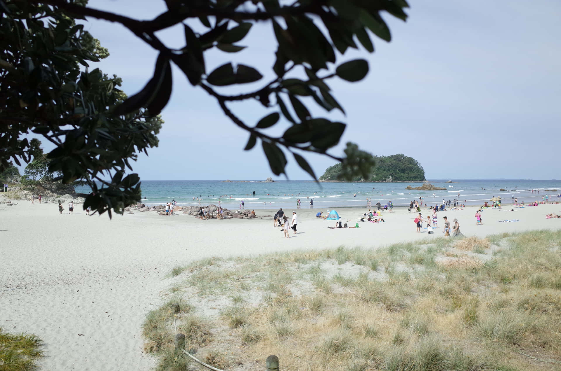 Tauranga Beach Summer Day Wallpaper