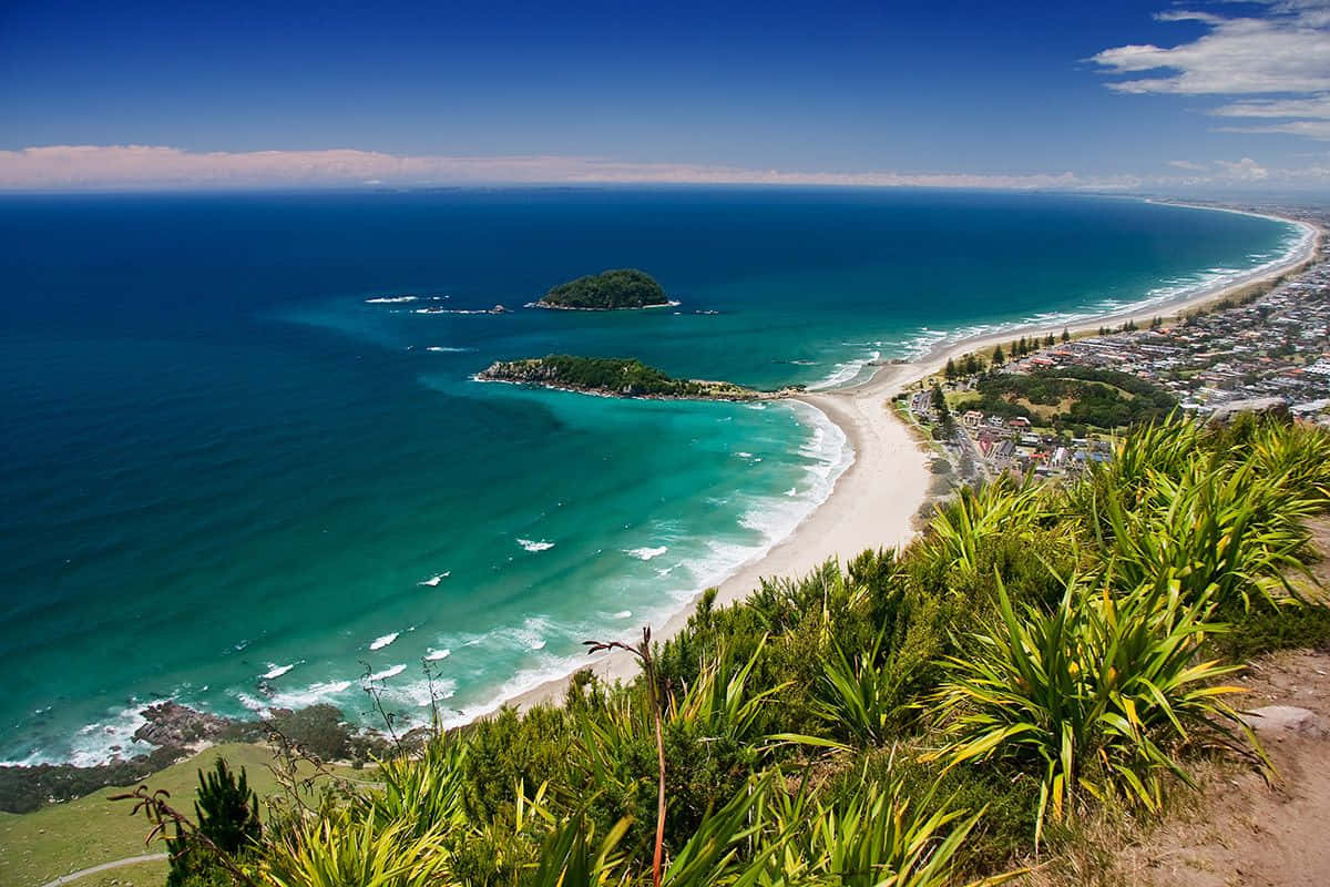 Tauranga Coastal View New Zealand Wallpaper