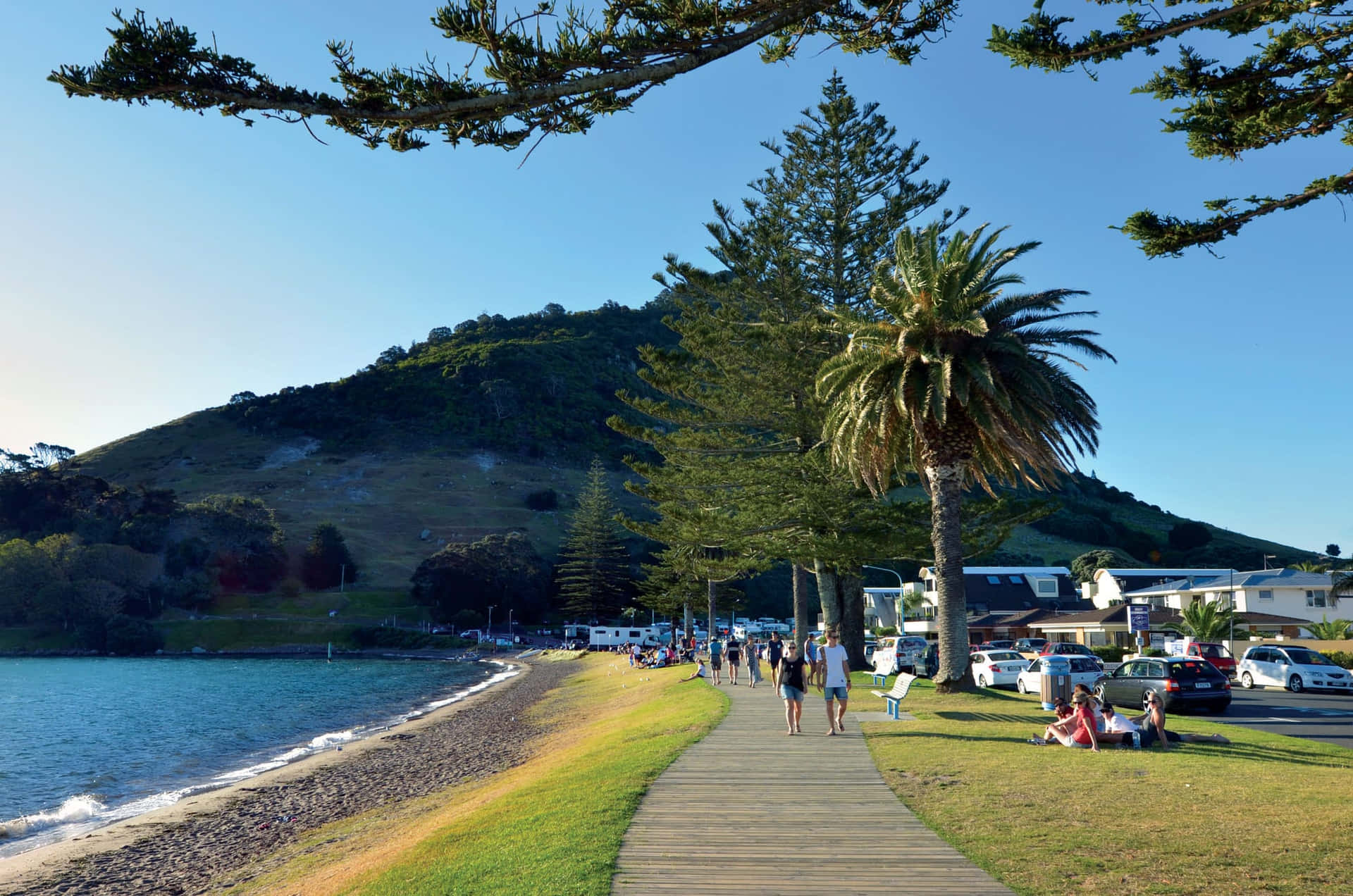 Tauranga Coastal Walkway Scenery Wallpaper