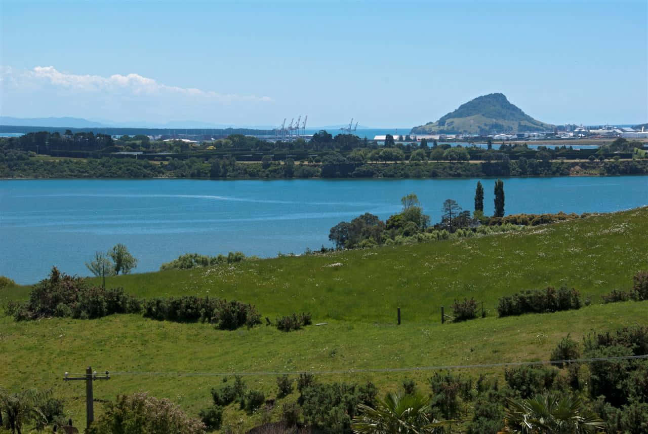 Tauranga Harbor View New Zealand Wallpaper