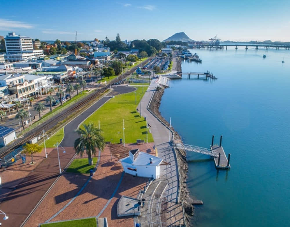 Tauranga Waterfront Aerial View Wallpaper