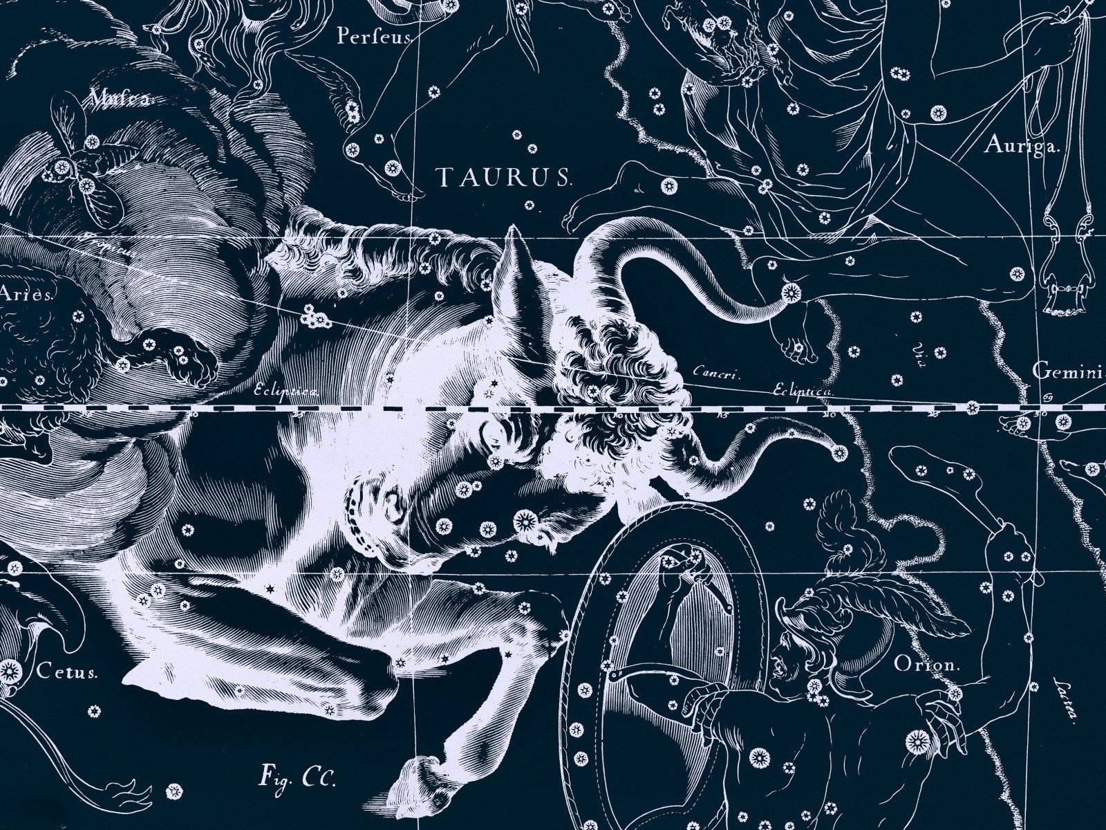 Embrace the Taurus energy with this stunning aesthetic imagery. Wallpaper