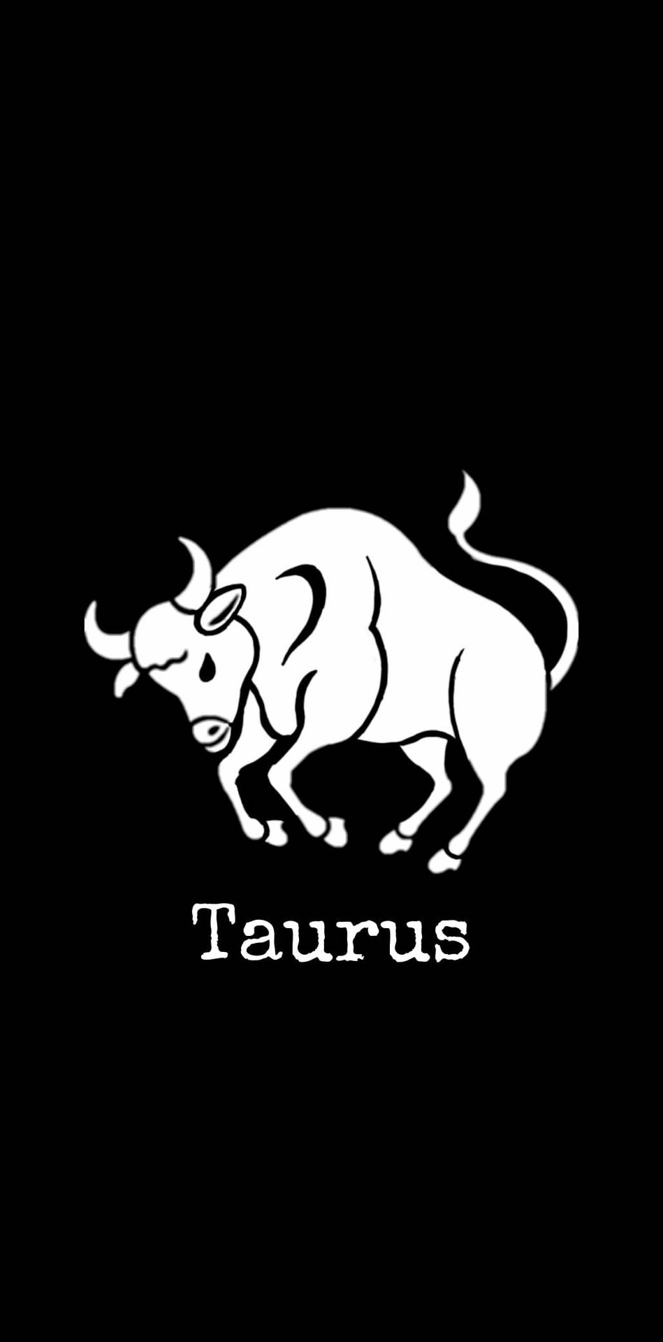 Taurus White Bull Wallpaper