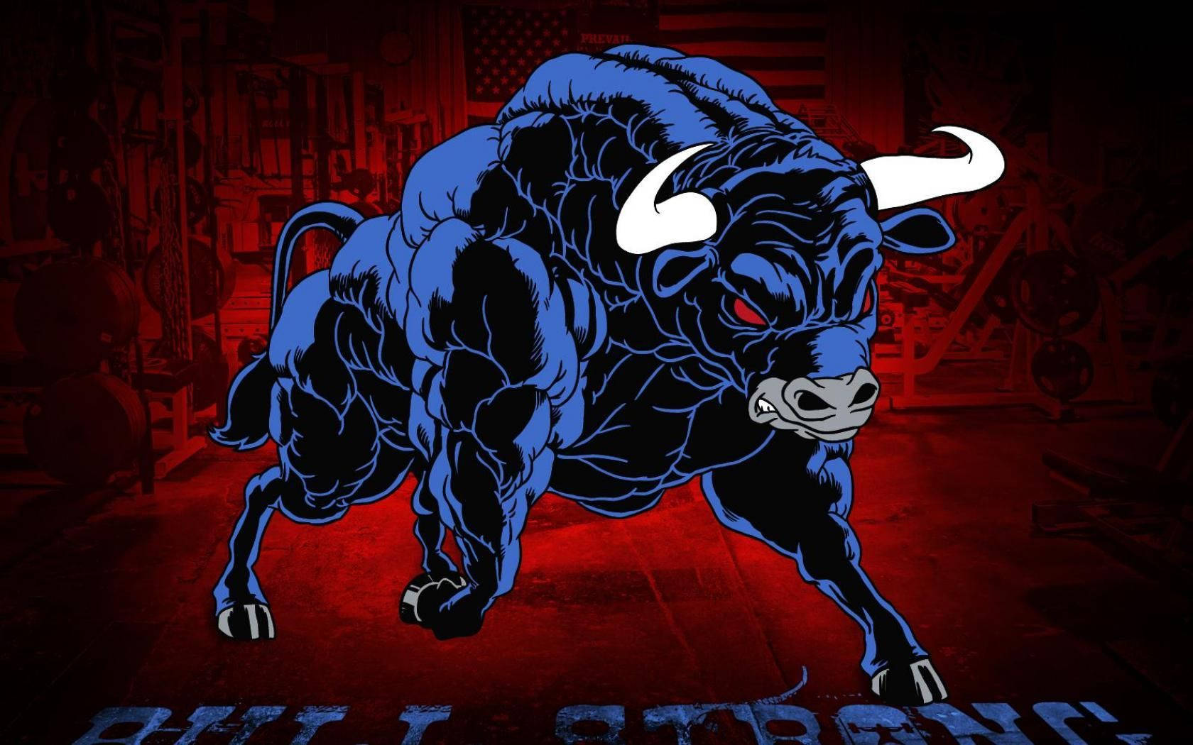 Taurus Zodiac Bull Strong