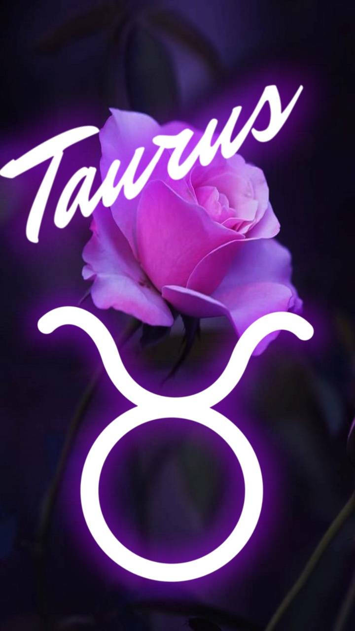 Taurus Zodiac Rose Wallpaper