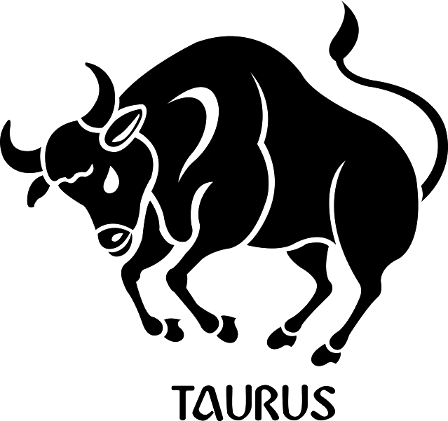 Taurus Zodiac Sign Illustration PNG