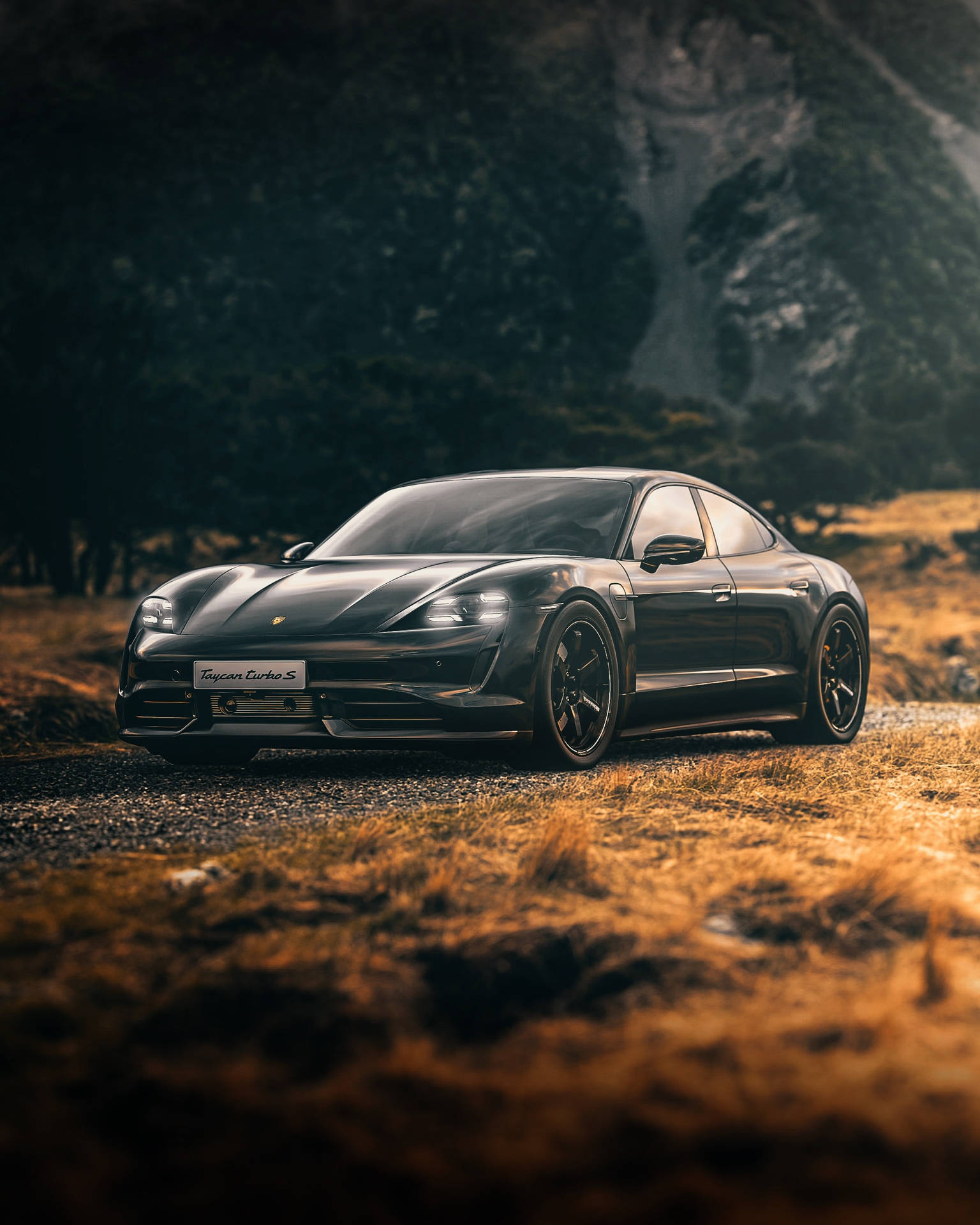 Taycan Turbo S Car In Nature Wallpaper