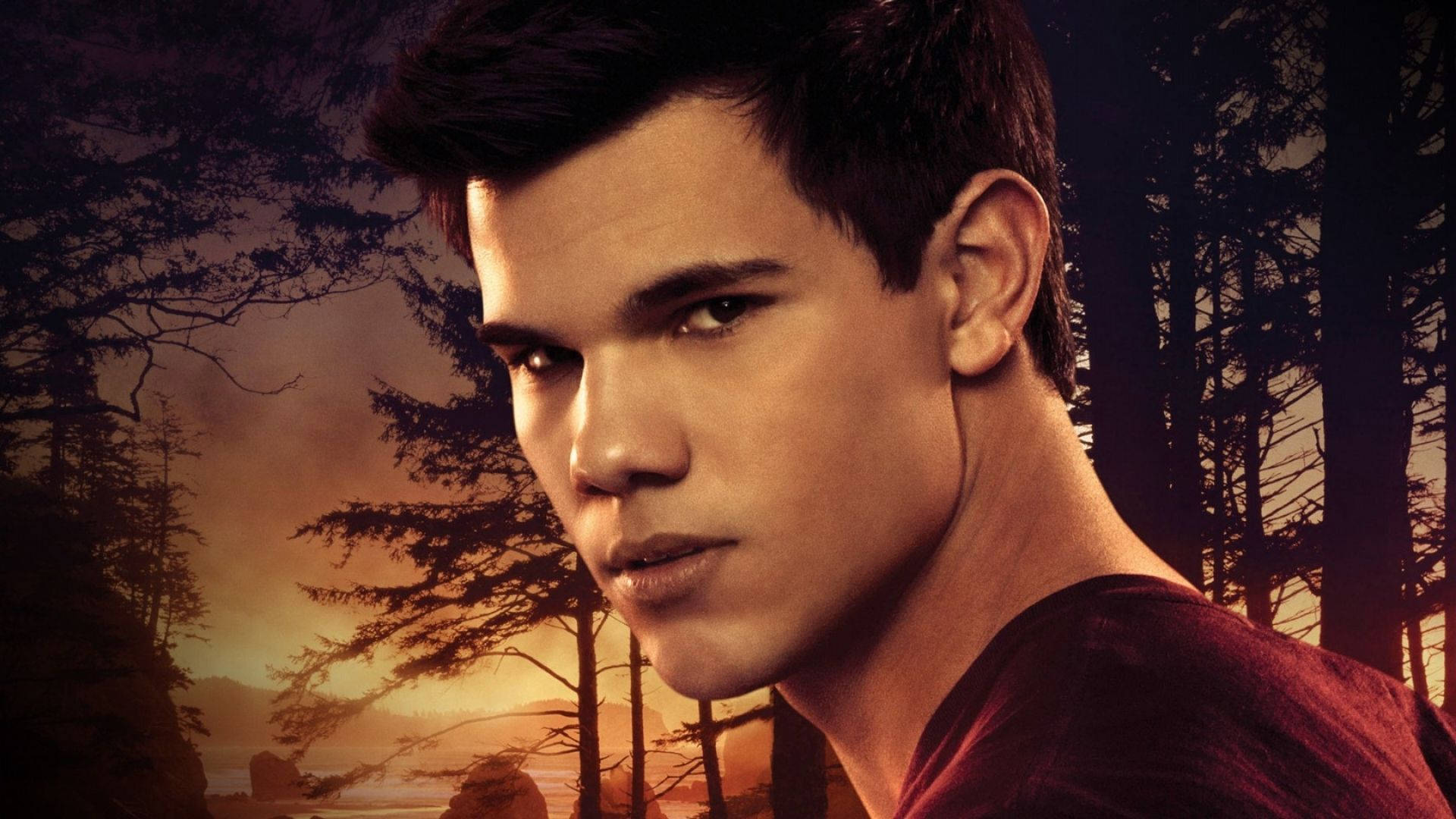 Taylor Lautner Twilight Wallpaper