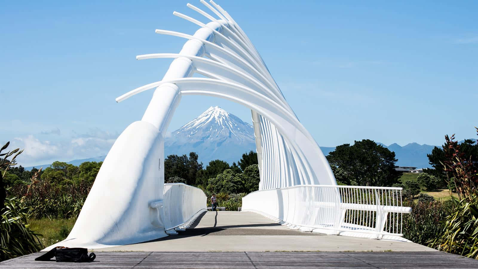 Te Rewa Rewa Brug En Mount Taranaki Achtergrond