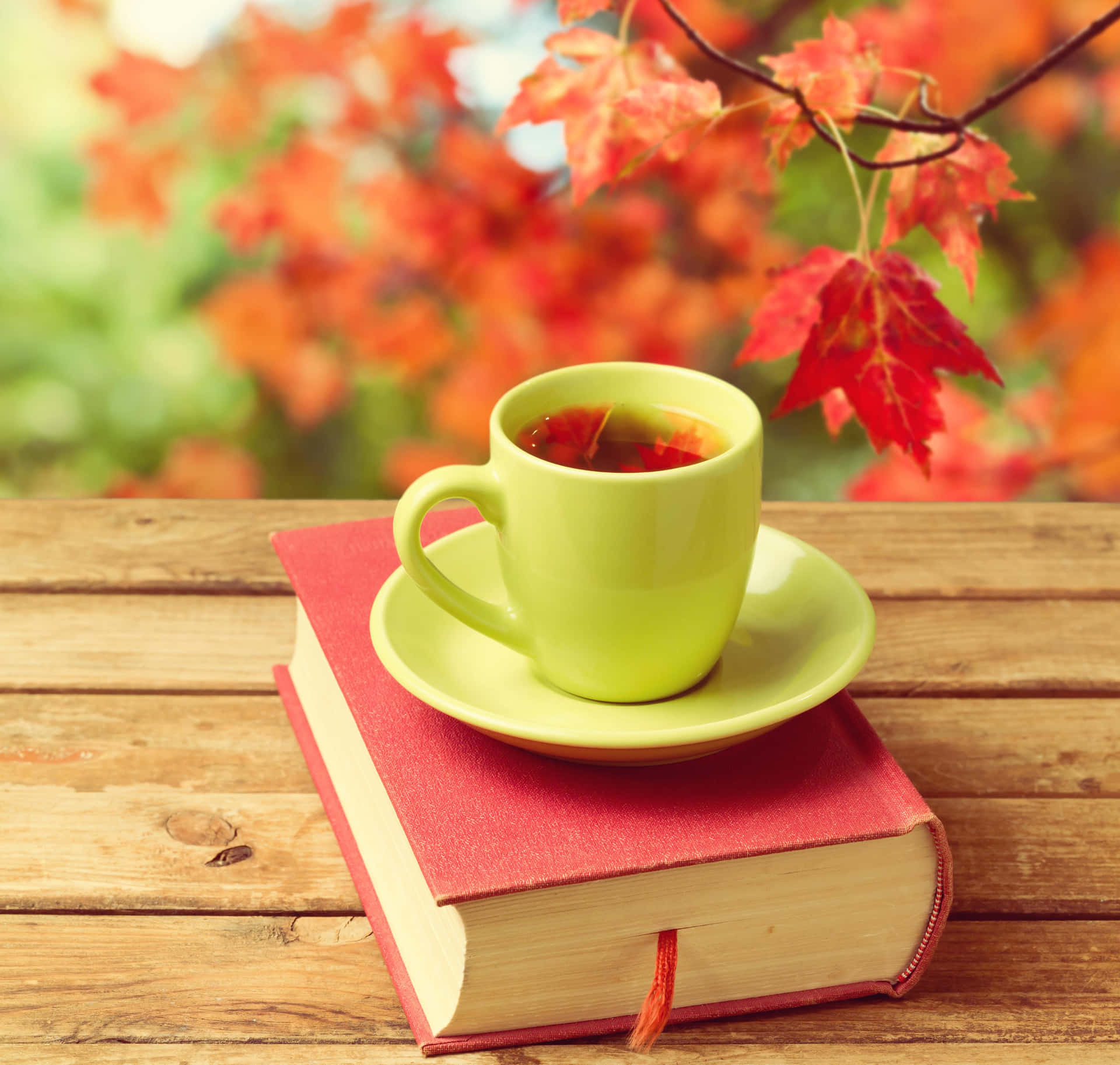 Einegrüne Tasse Auf Einem Buch