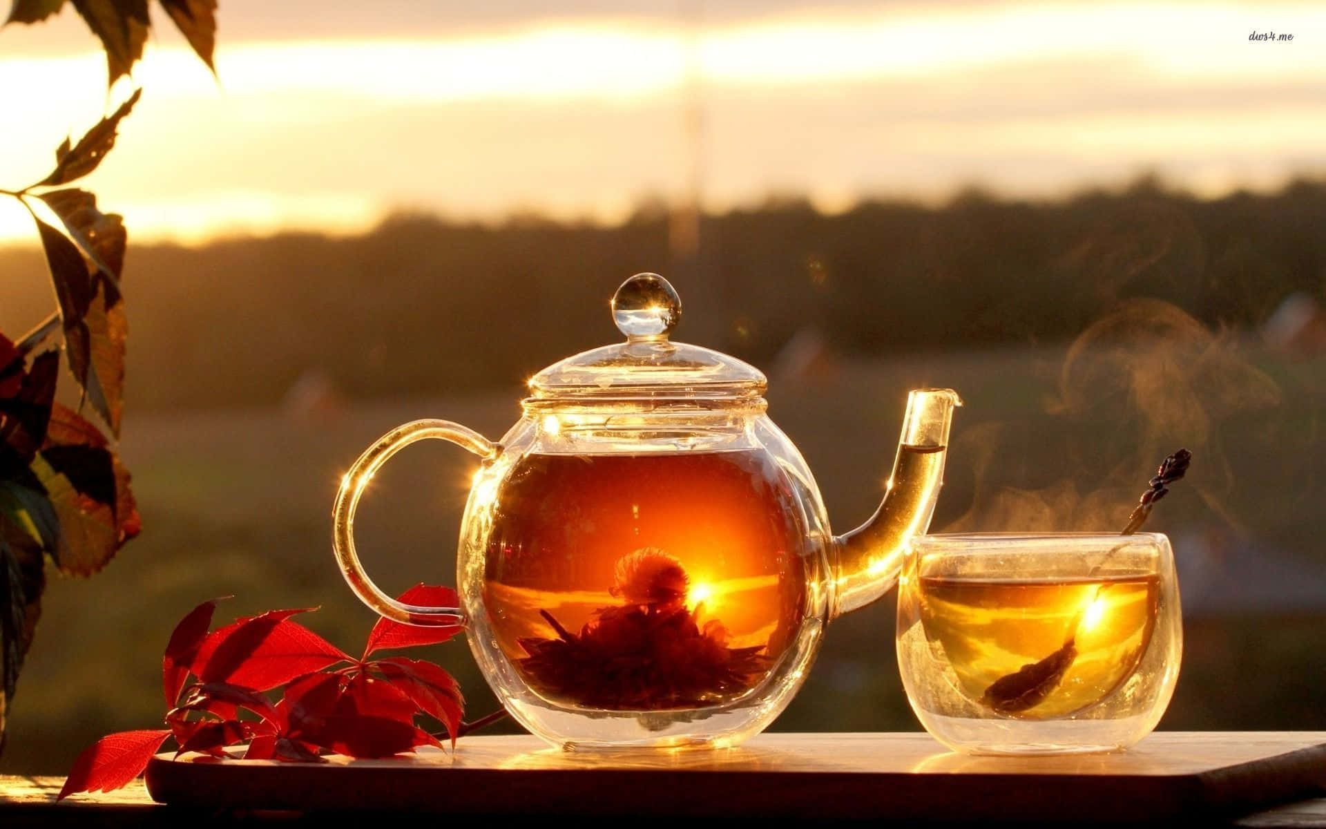 Tea Pot And Teacups On A Table In The Sun