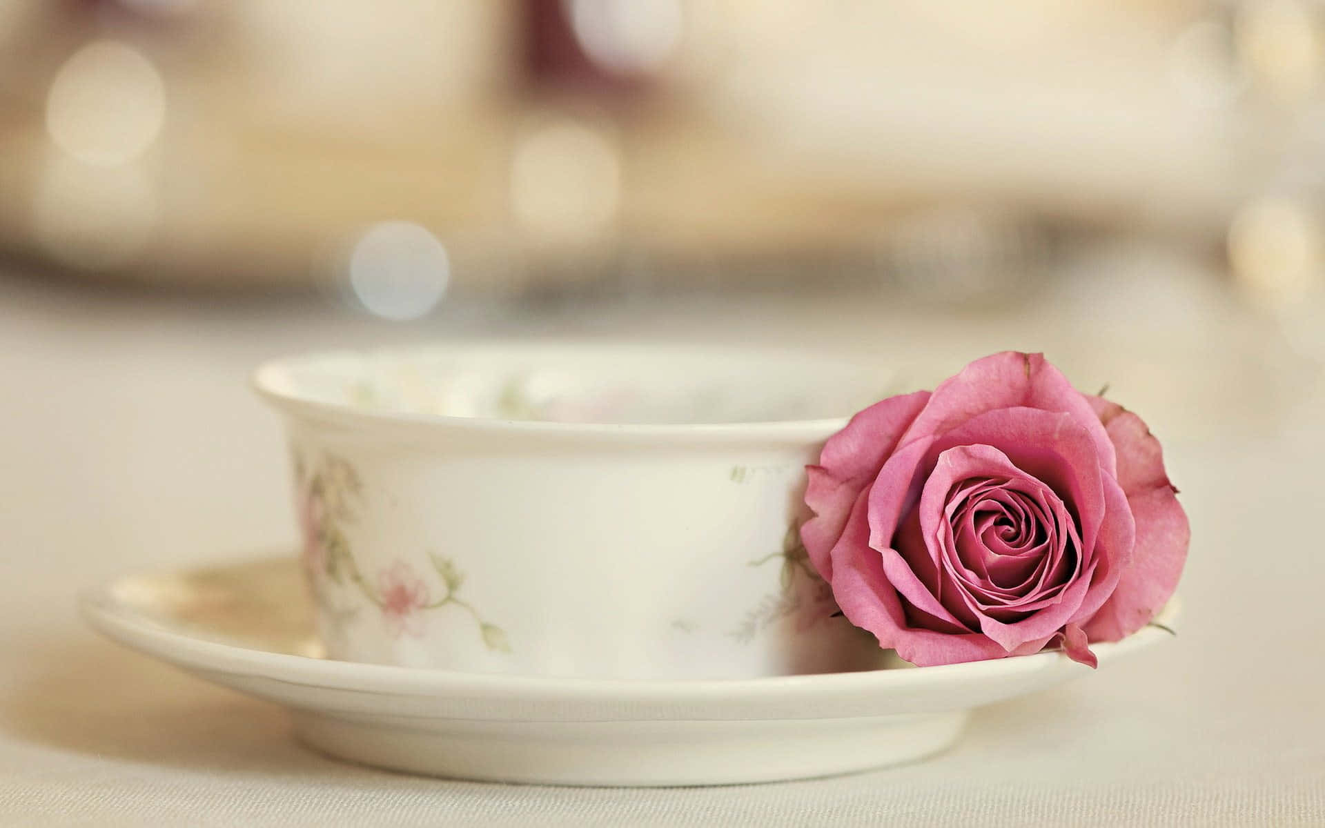 Tea Cup With Pink Rose Picture