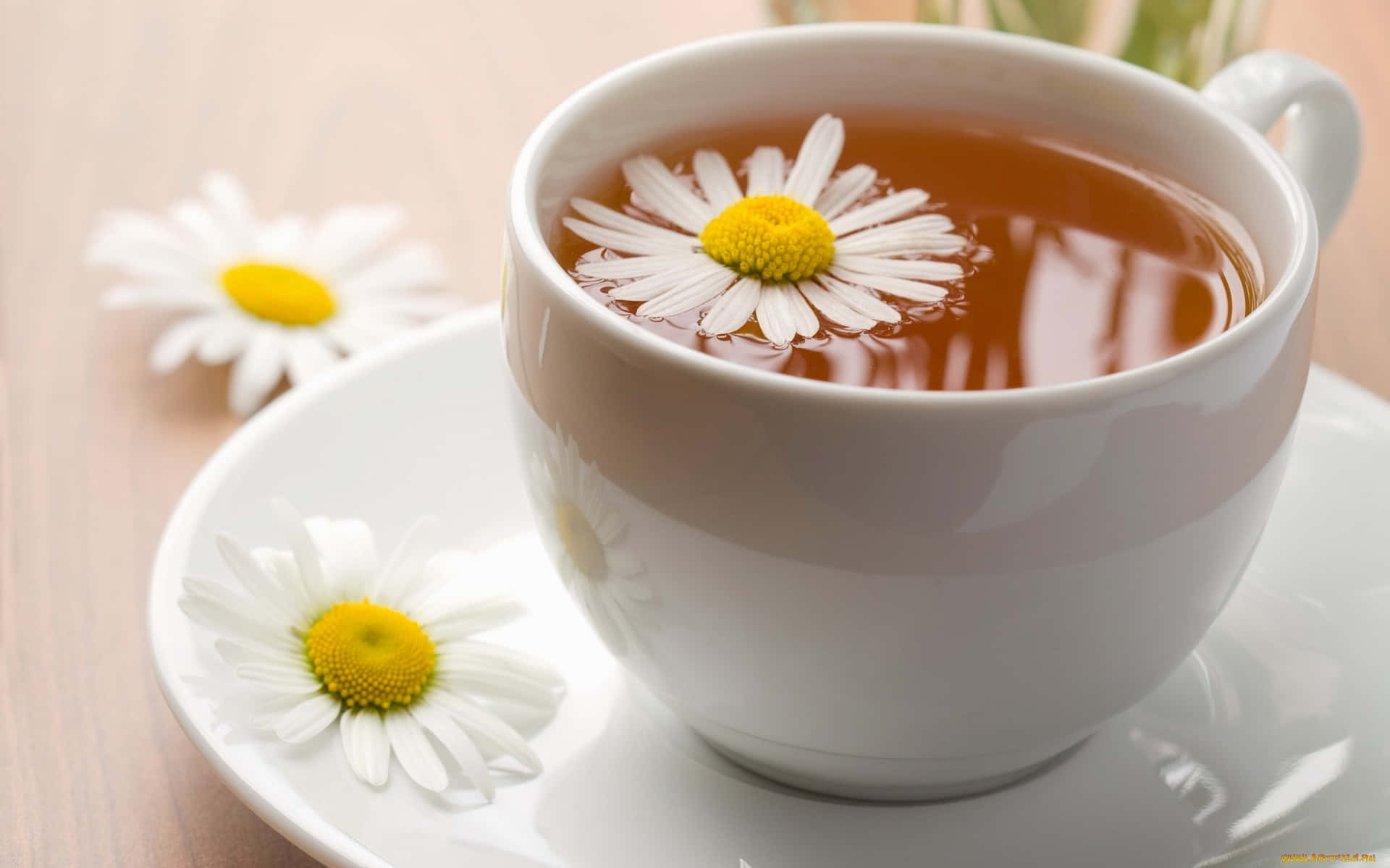 Tea Cup With Daisy Picture