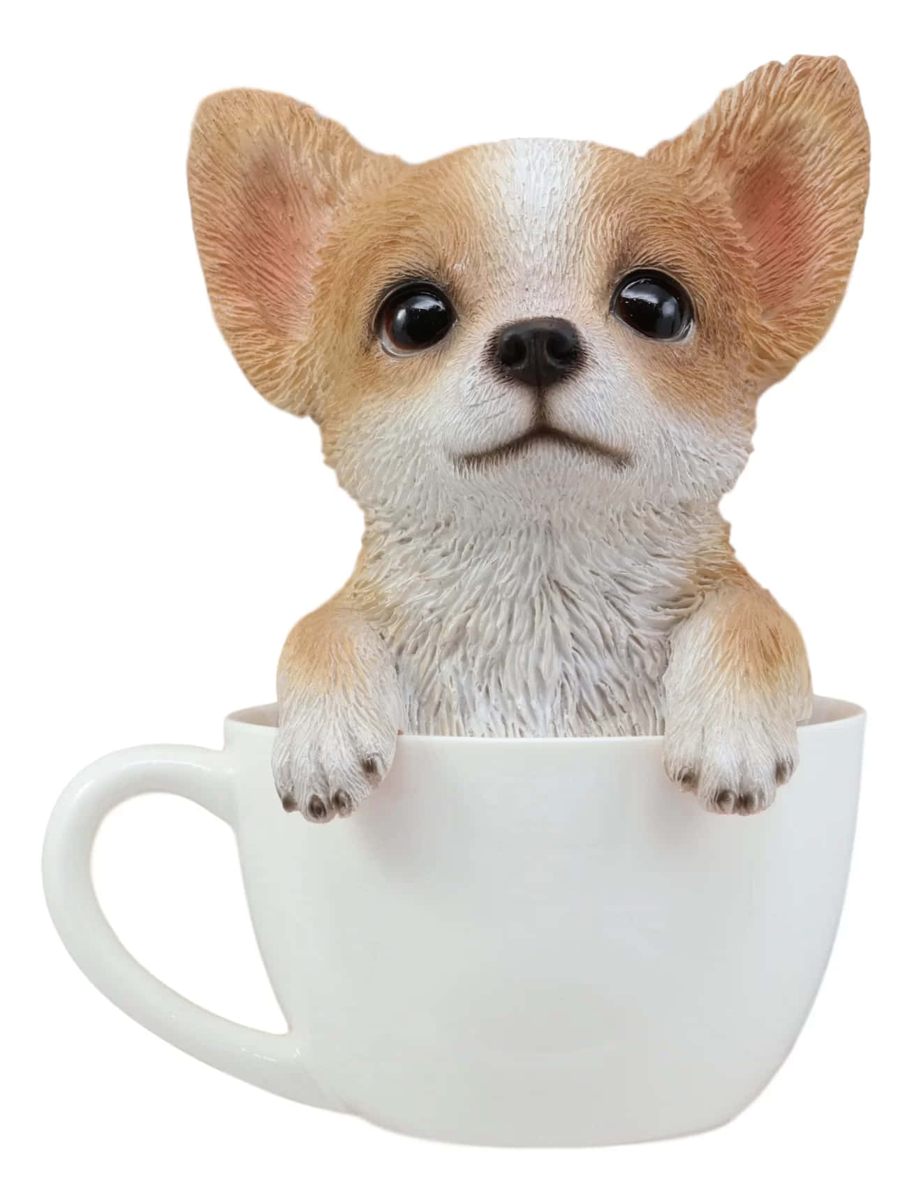 "A Cute Teacup Chihuahua"