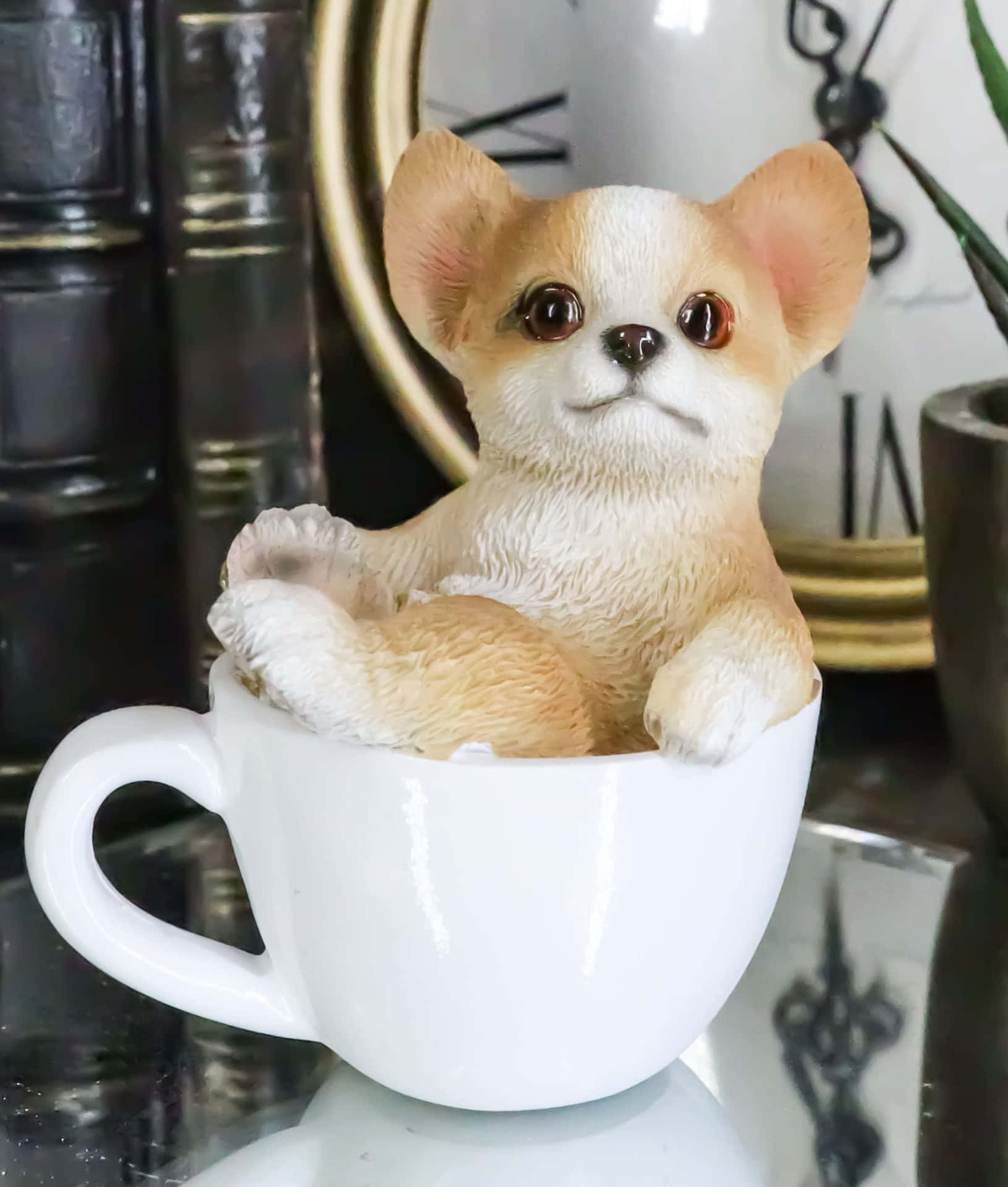 Adorable Teacup Chihuahua