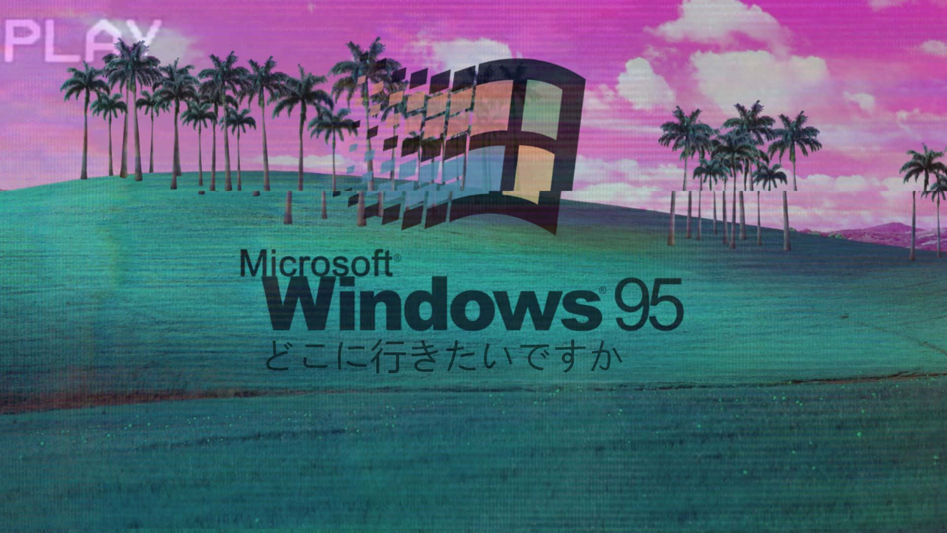 Windows 95 Logo With Palm Trees Wallpaper