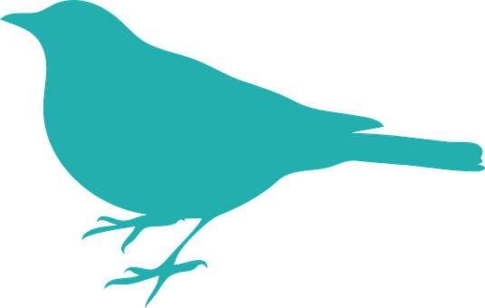 Teal Bird Silhouette PNG