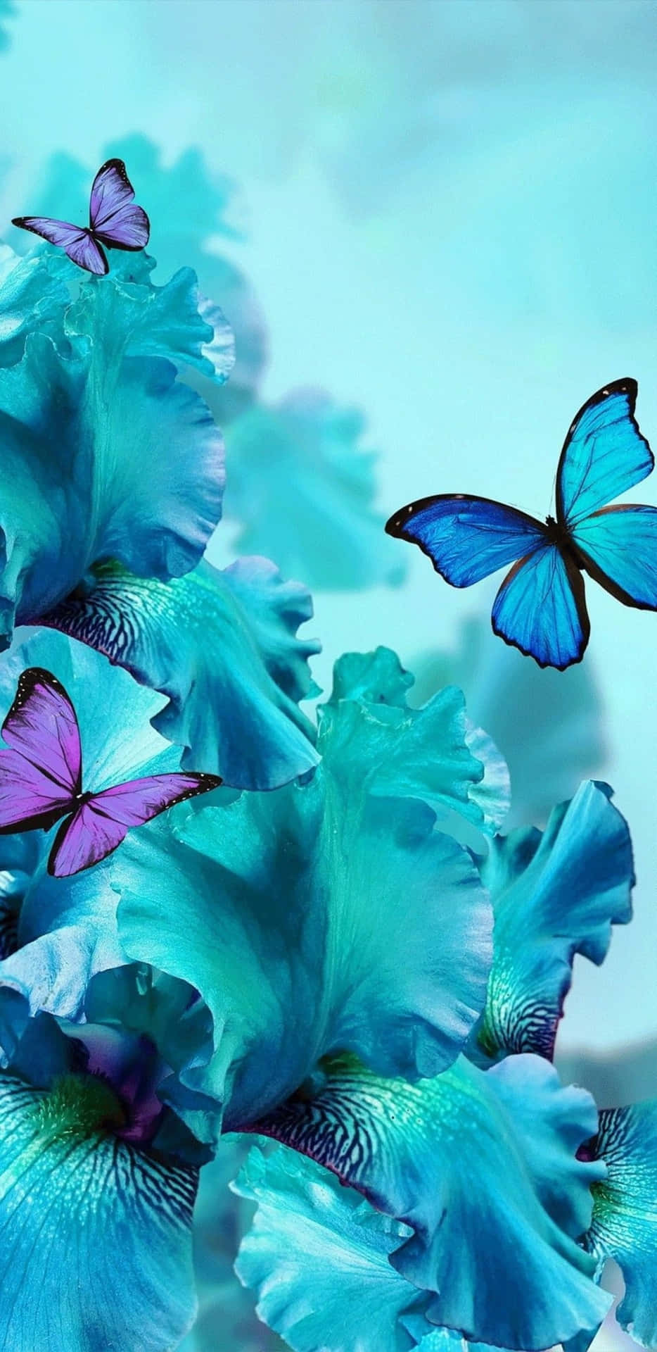 Blaueblumen Mit Fliegenden Schmetterlingen Darüber Wallpaper