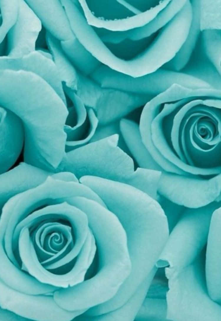 Delicate and Delightful Teal Flower Wallpaper