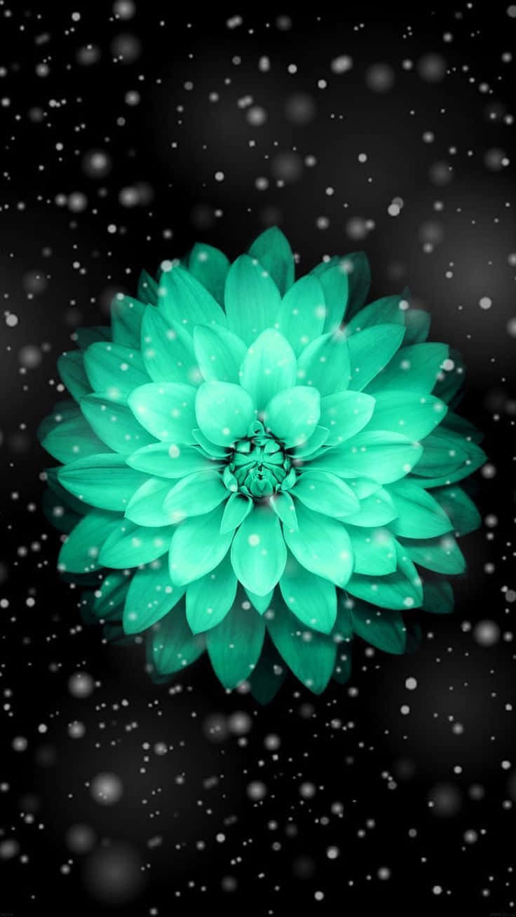 A Green Flower With Snow Falling On It Wallpaper