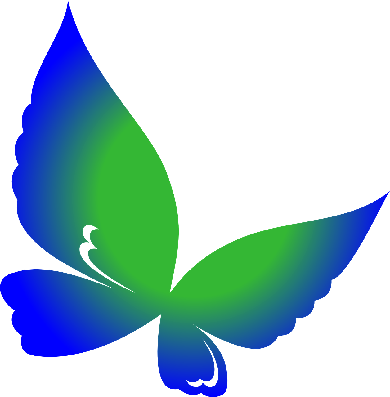 Teal Gradient Butterfly Graphic PNG