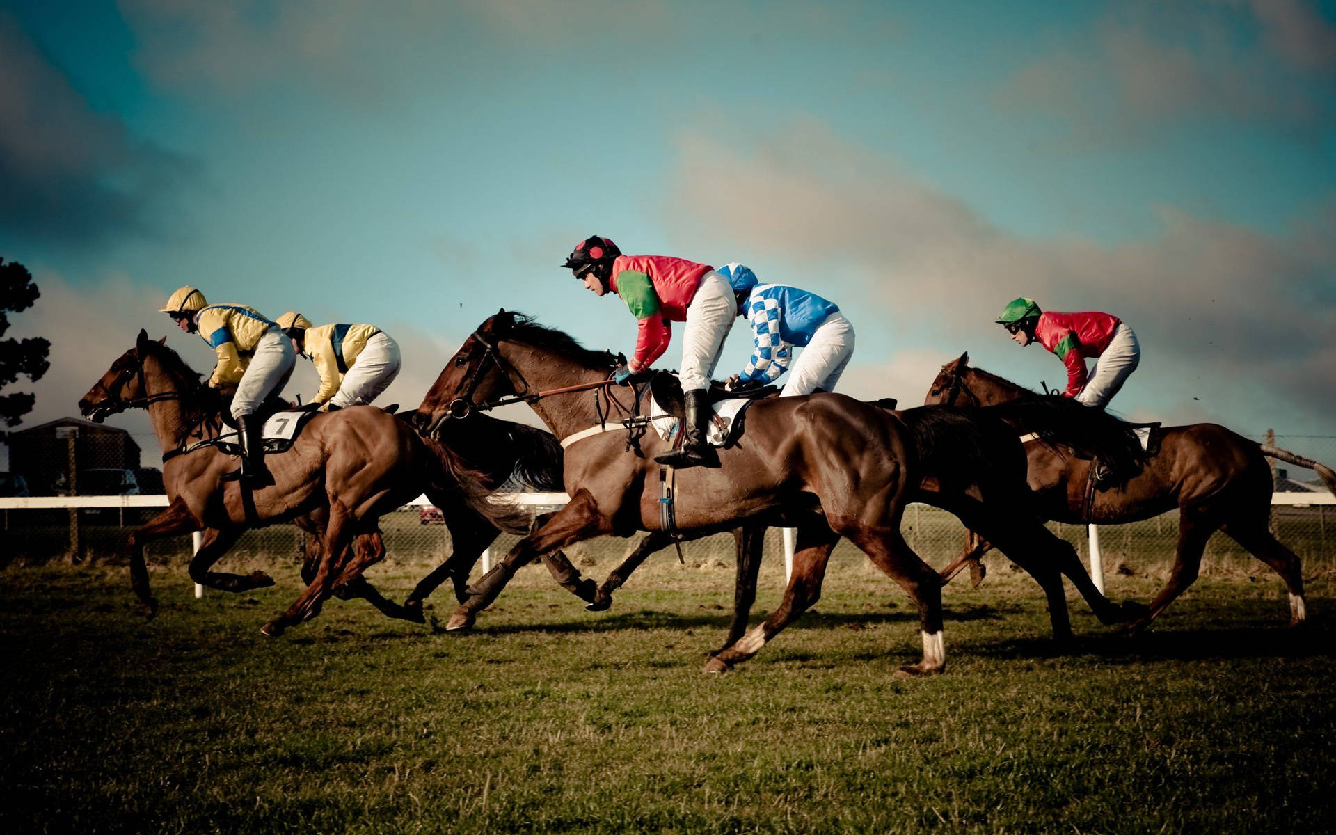 Free Horse Racing Wallpaper Downloads, [100+] Horse Racing Wallpapers for  FREE 