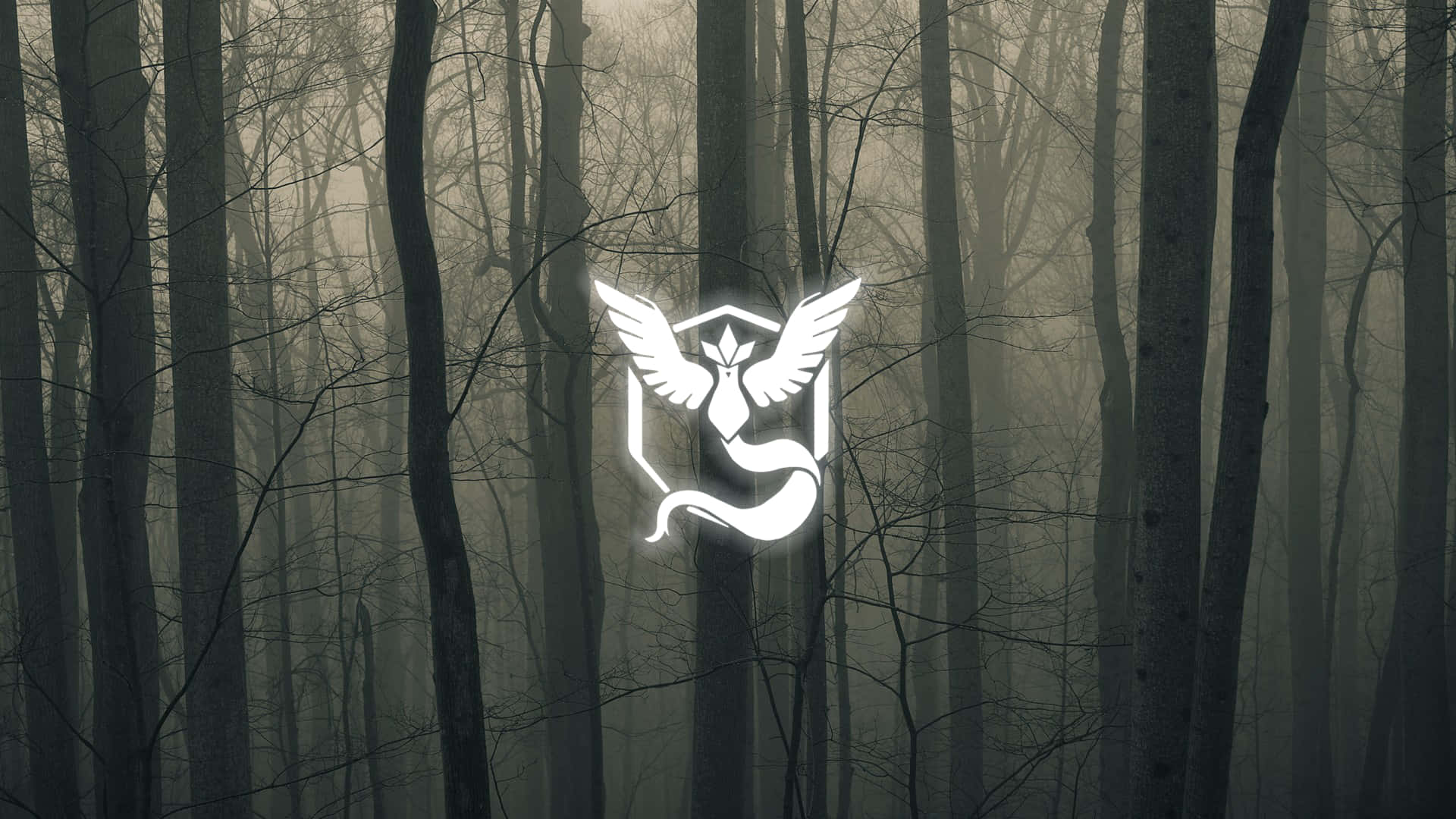Pokèmon-logo i skoven Wallpaper