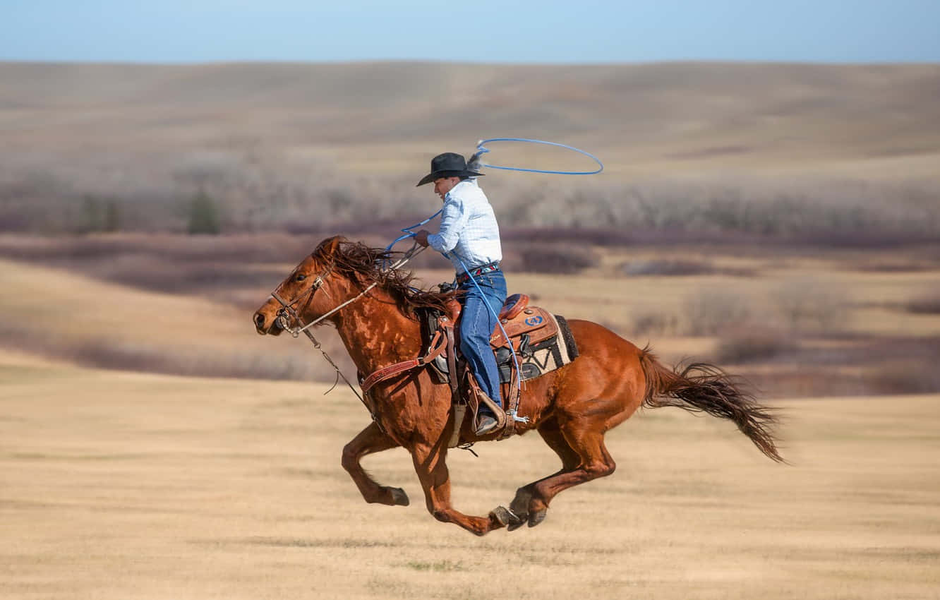 Experience the Thrill of Team Roping Wallpaper
