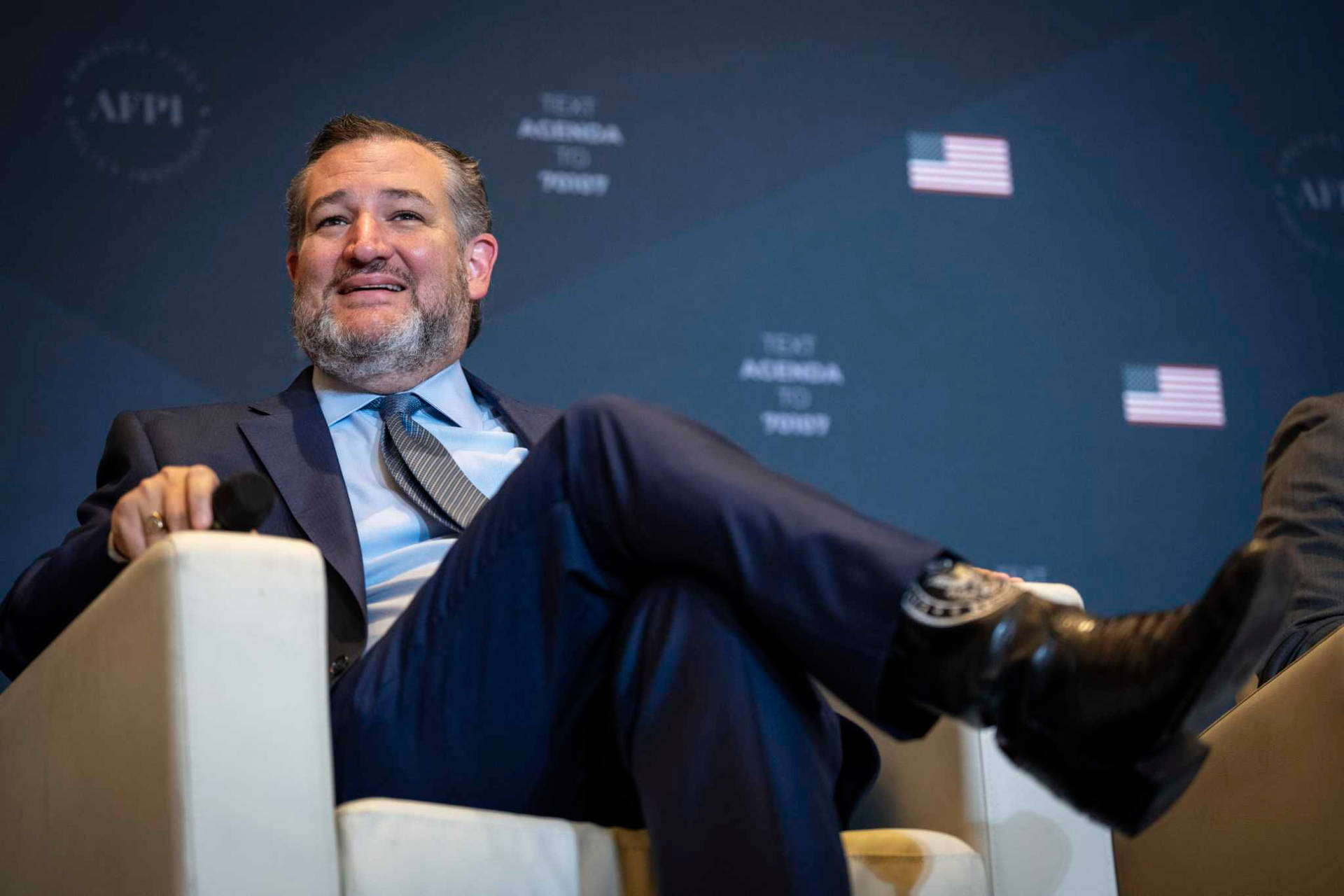 Ted Cruz Sits Comfortably Wallpaper