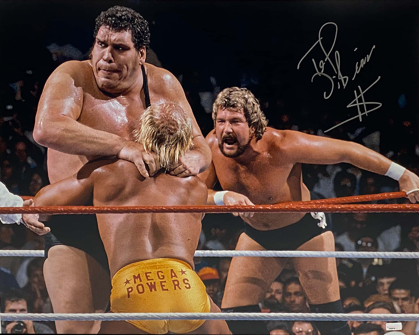 Ted Dibiase Andre The Giant Wallpaper