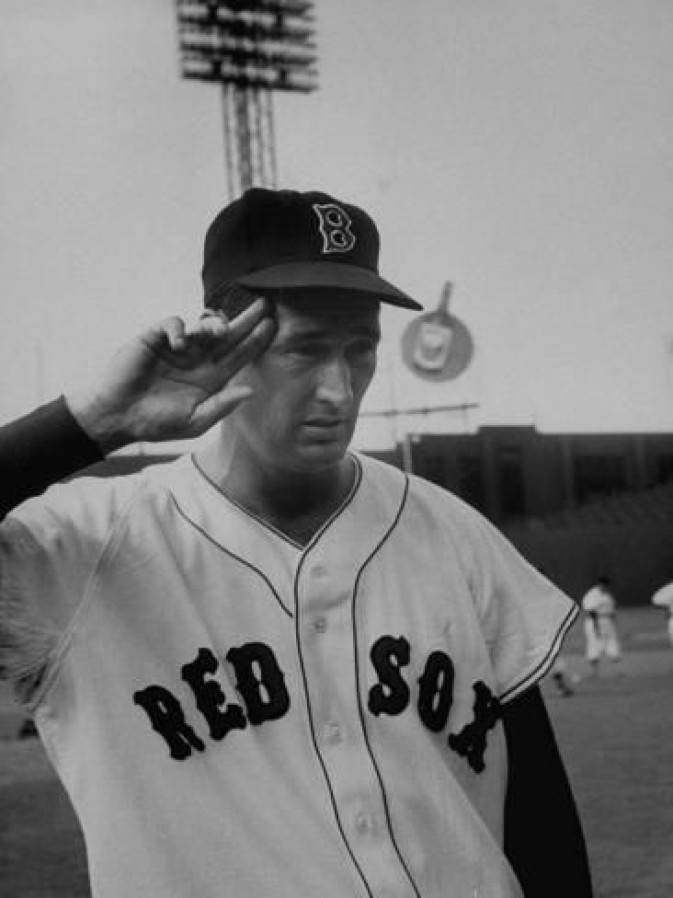 Ted Williams Sports Athlete Wallpaper