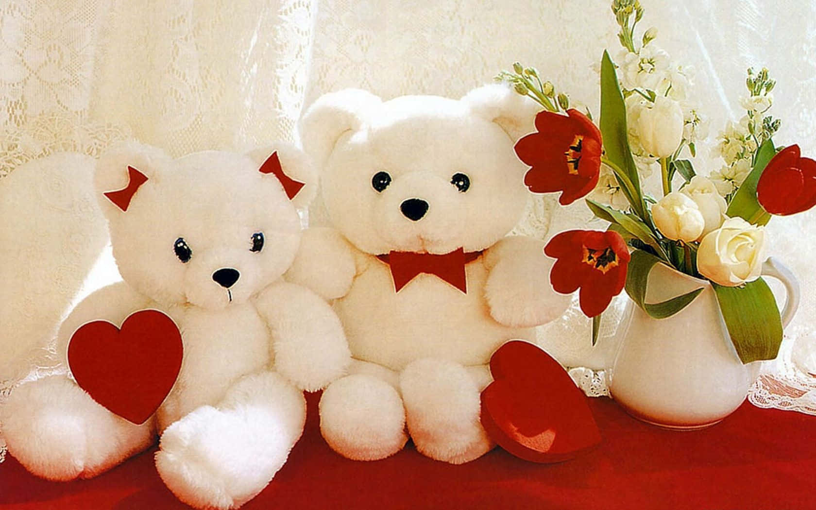 Two White Teddy Bears