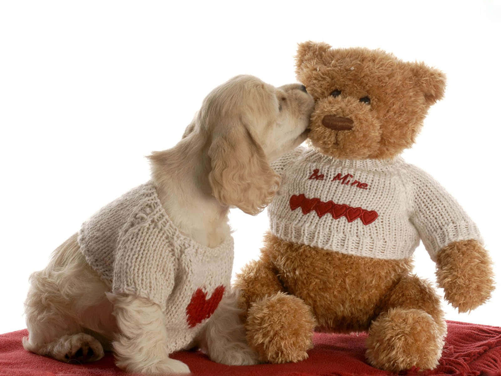 "Cute and cuddly - make your day better with a teddy bear!"