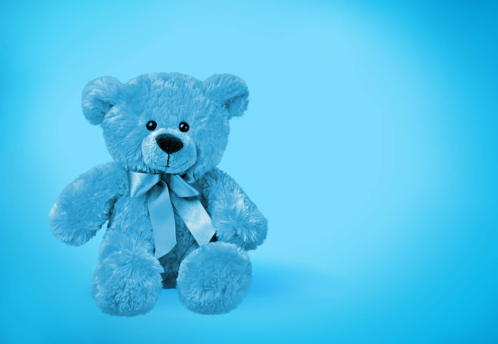 Enblå Teddybjörn På En Blå Bakgrund