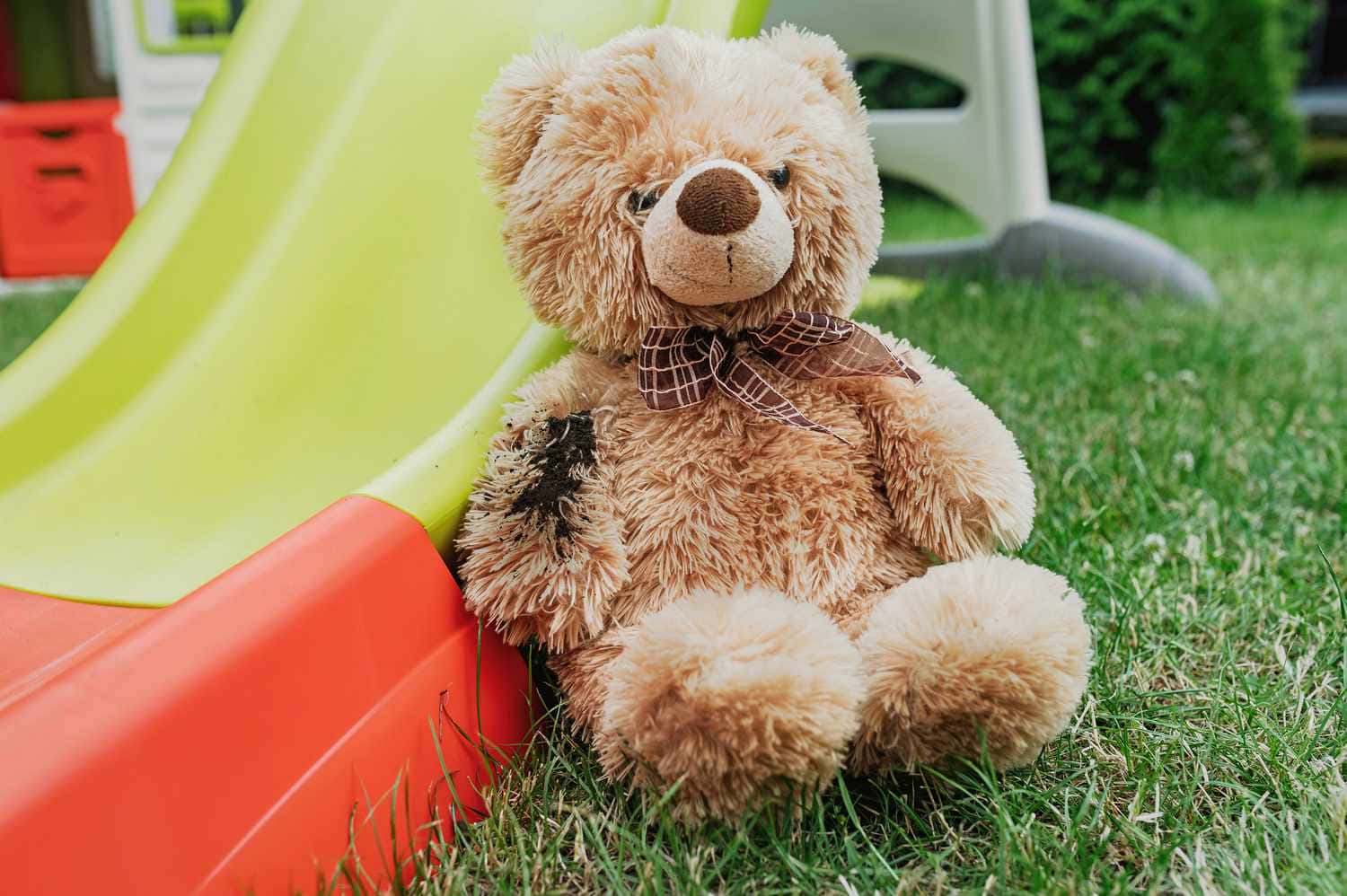 A Sweet Teddy Bear Ready to be Hugged