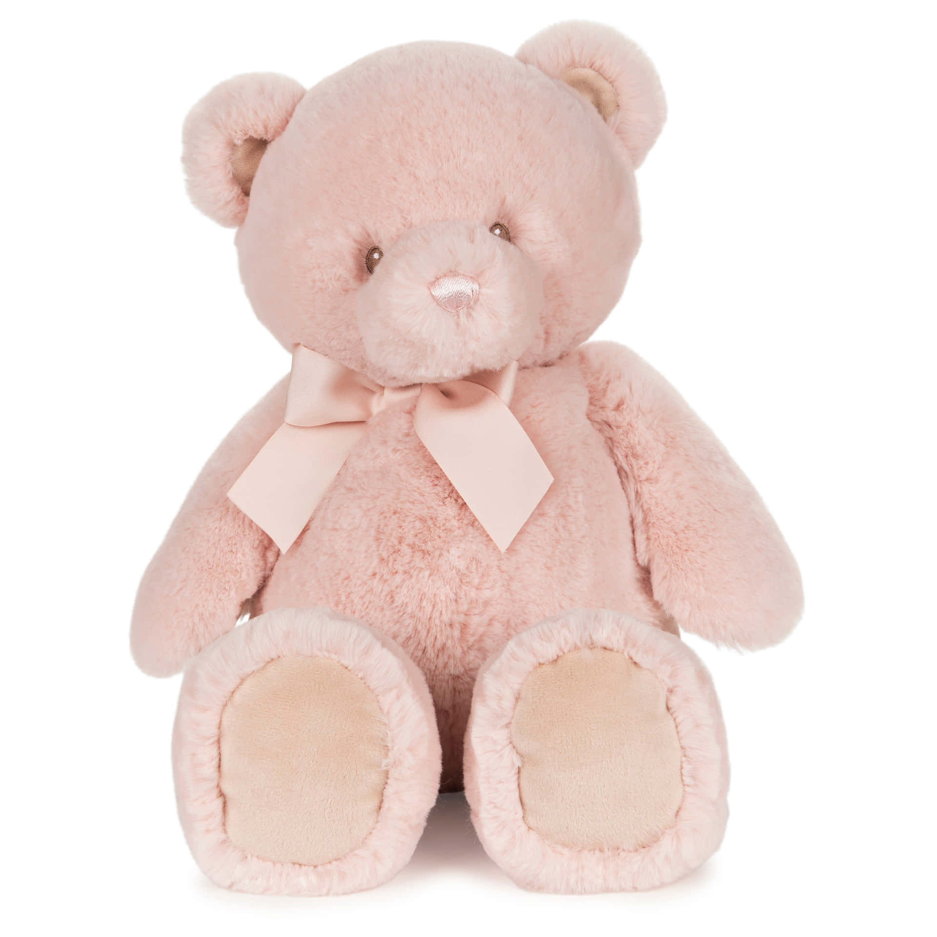 "Cuddle Up to this Adorable Teddy Bear!"