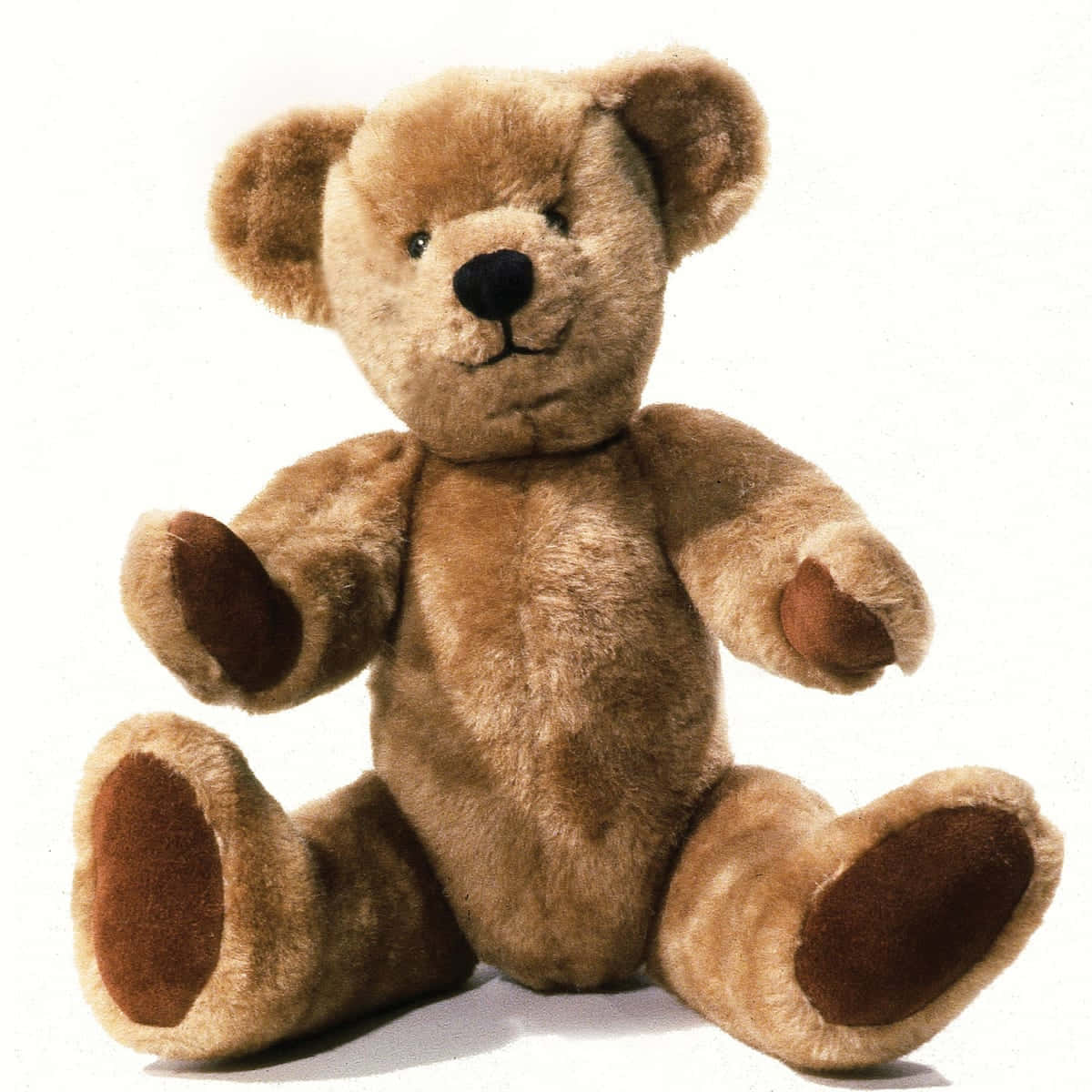 Sweet Hug From a Teddy Bear