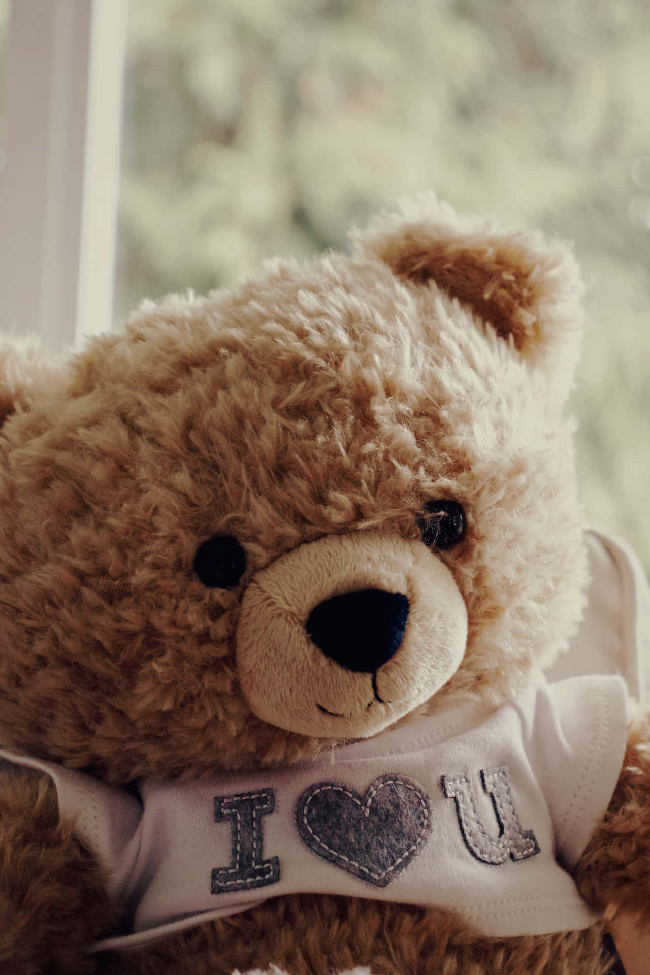 A Teddy Bear Wearing A T Shirt