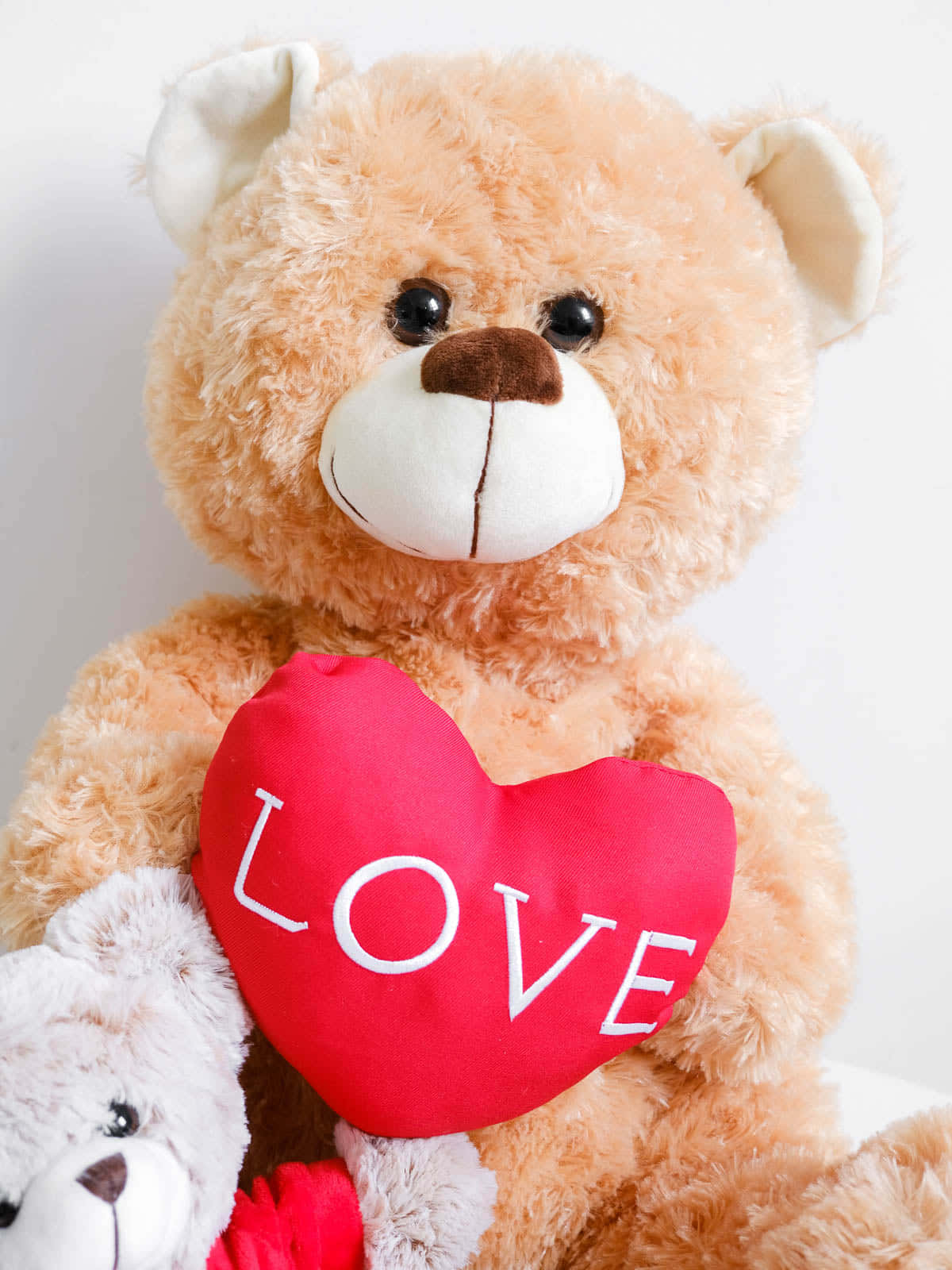 A Teddy Bear Holding A Heart Shaped Pillow