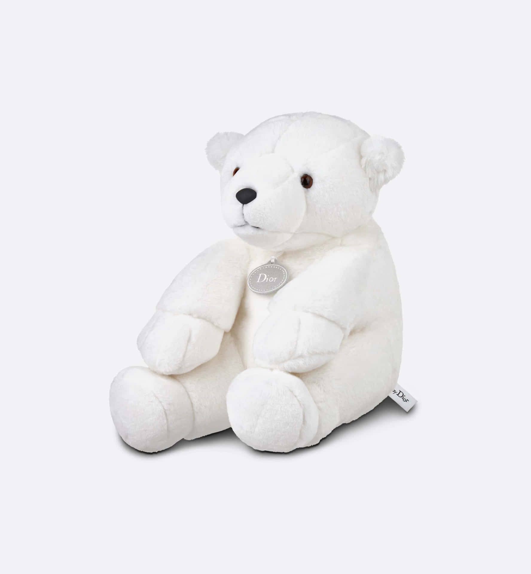 A White Stuffed Polar Bear Sitting On A White Background