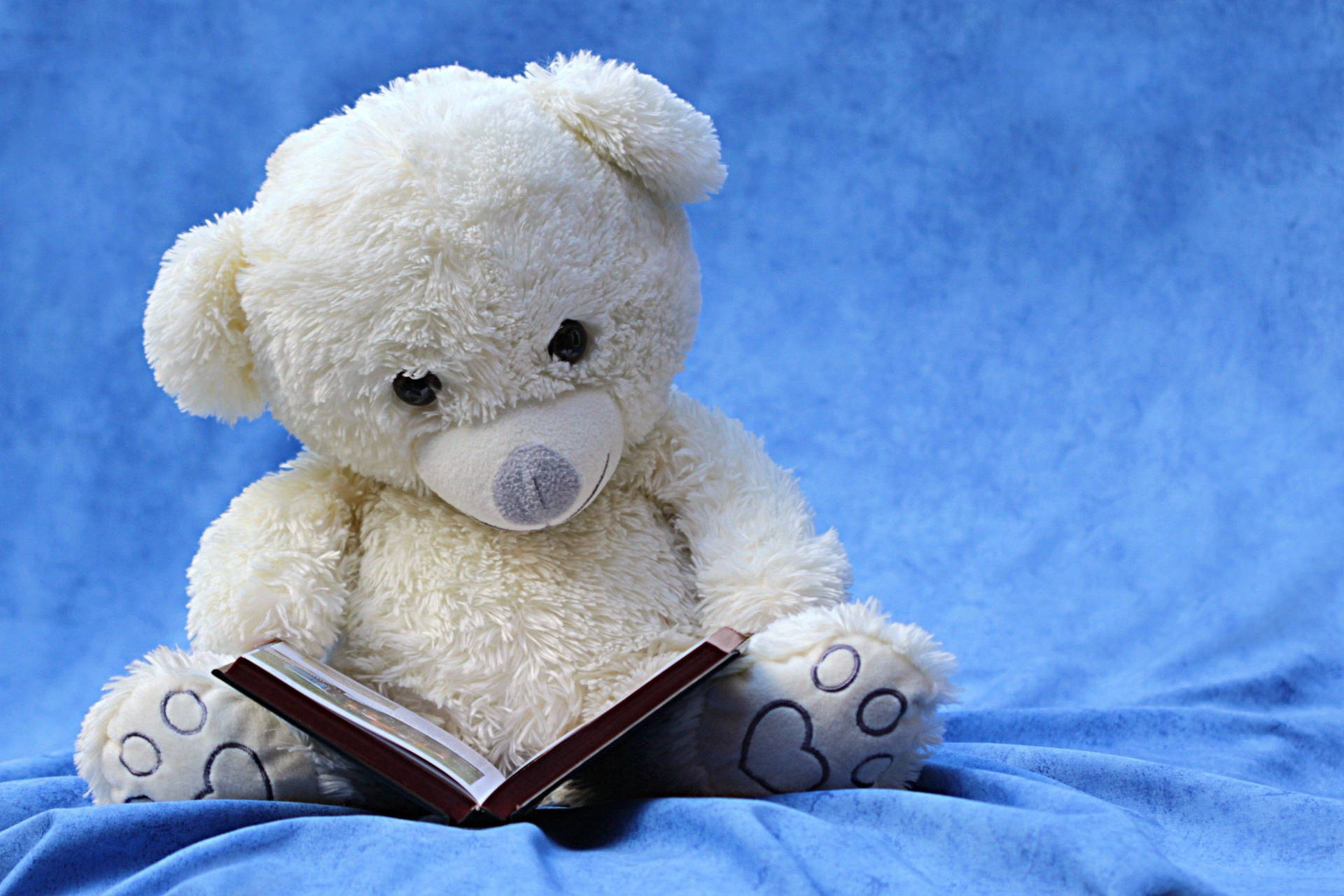 Teddy Bear Reading Wallpaper