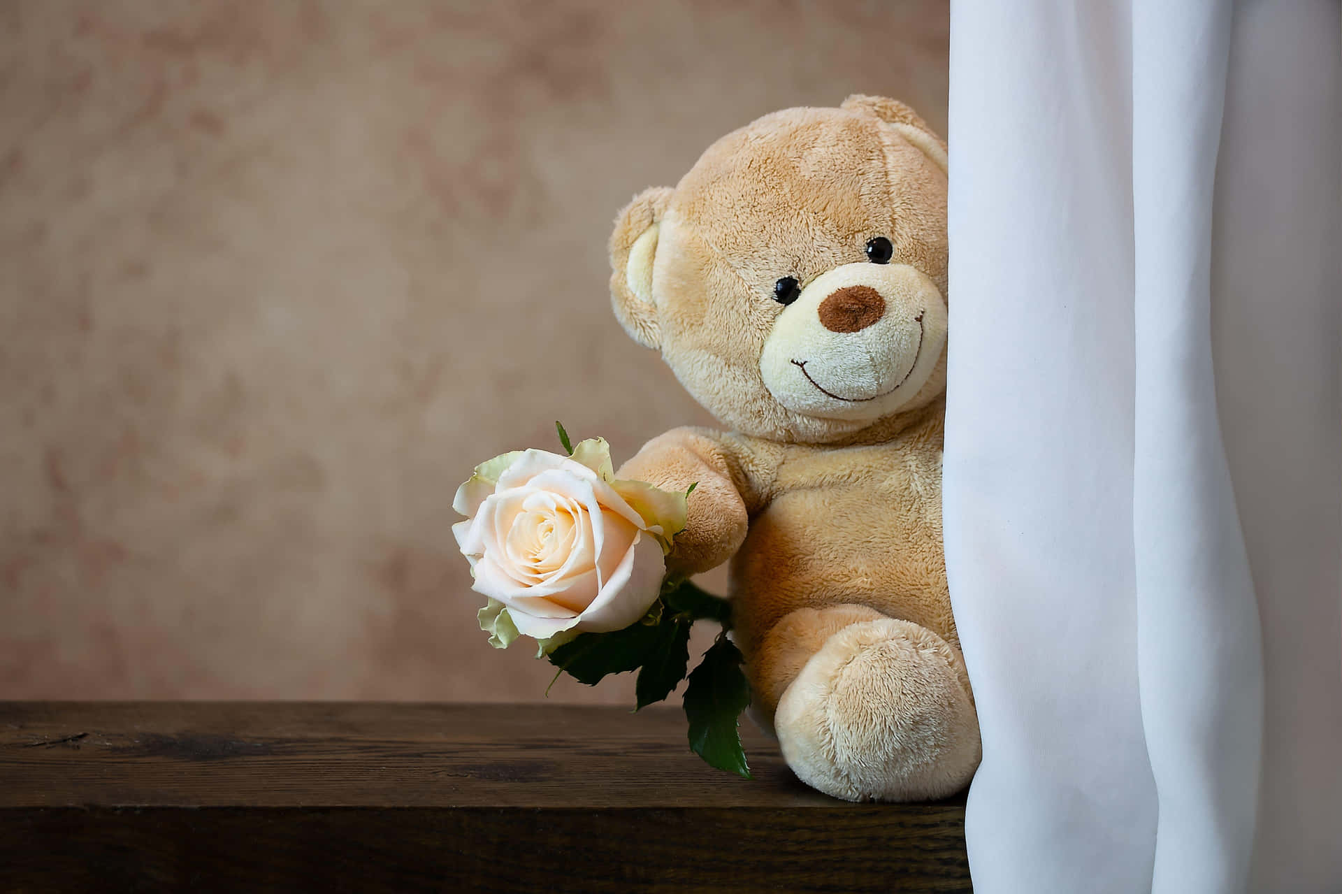 Teddy Bear With Rose Wallpaper