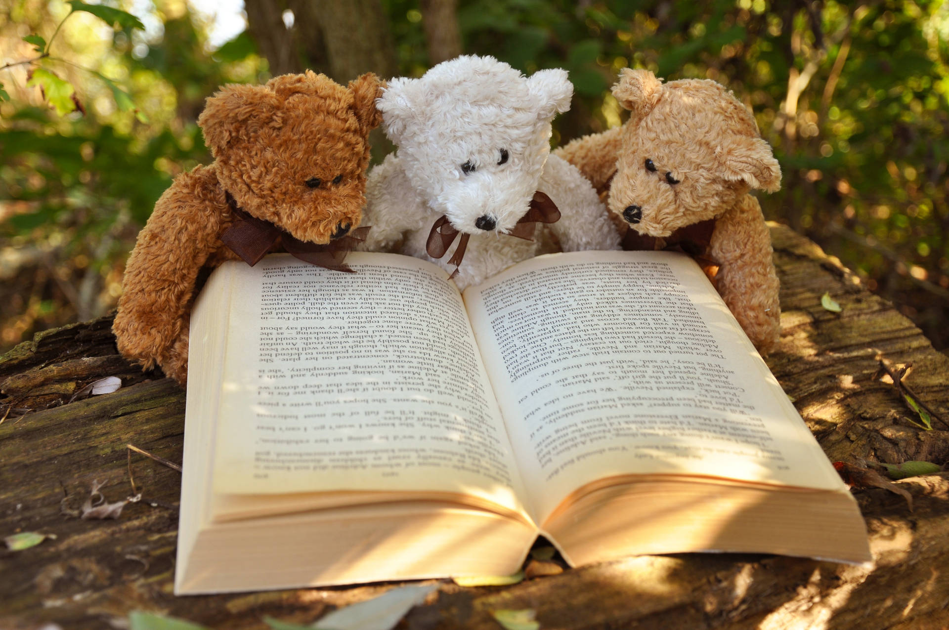 Teddy Bears Reading Book Wallpaper
