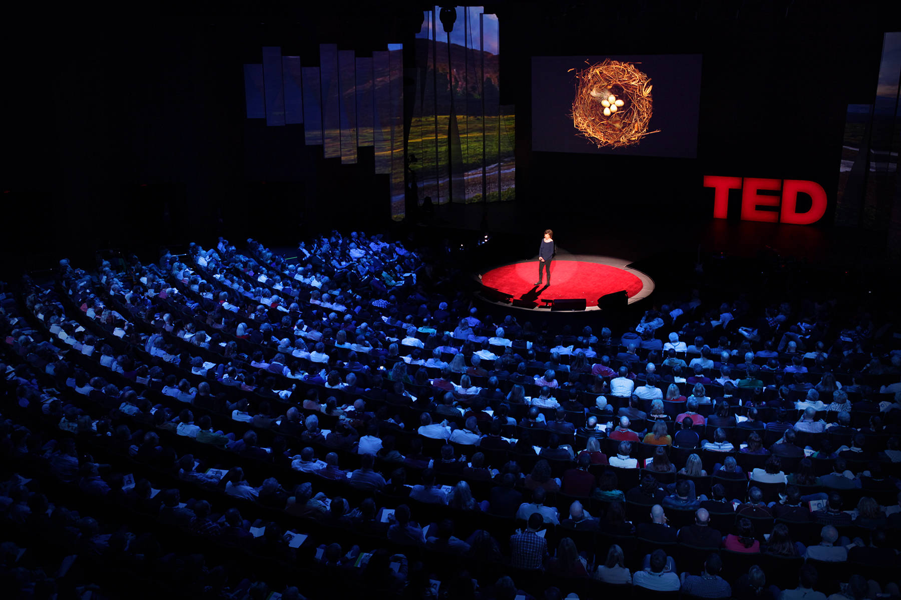 Tedx Talks Spotlight Wallpaper
